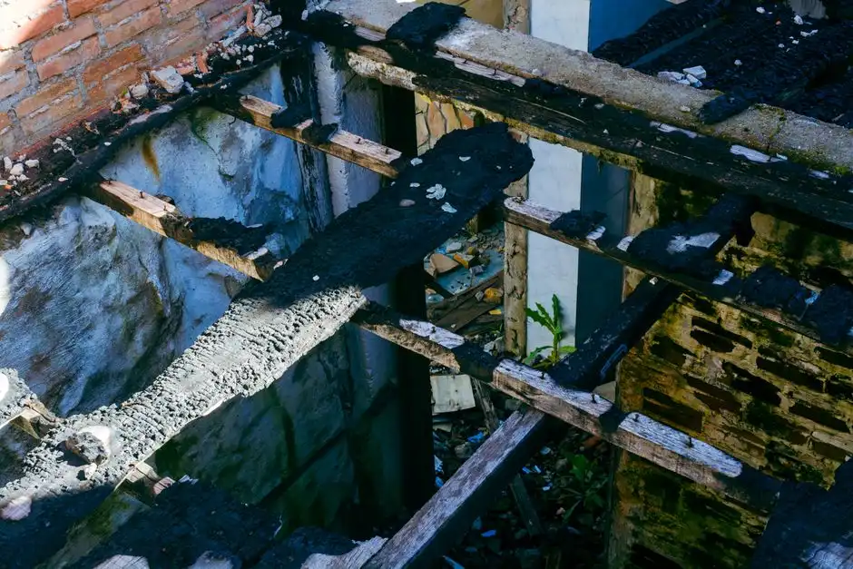 Emergency water removal
