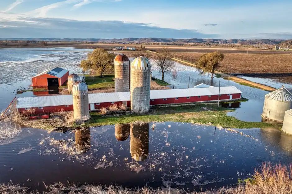 Water damage mitigation vs restoration: what is the difference
