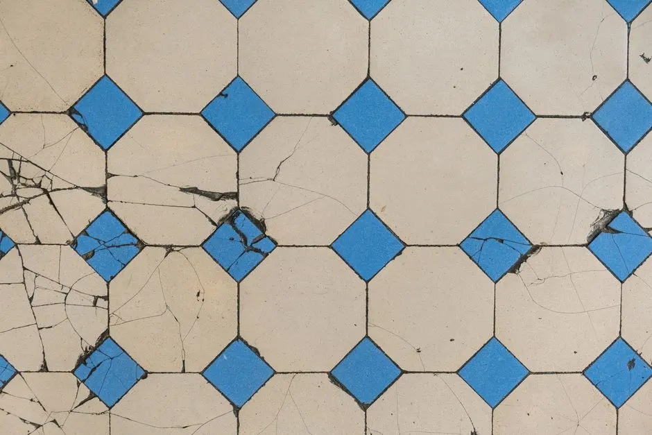 How to document water damage for insurance claims in Palm Bay